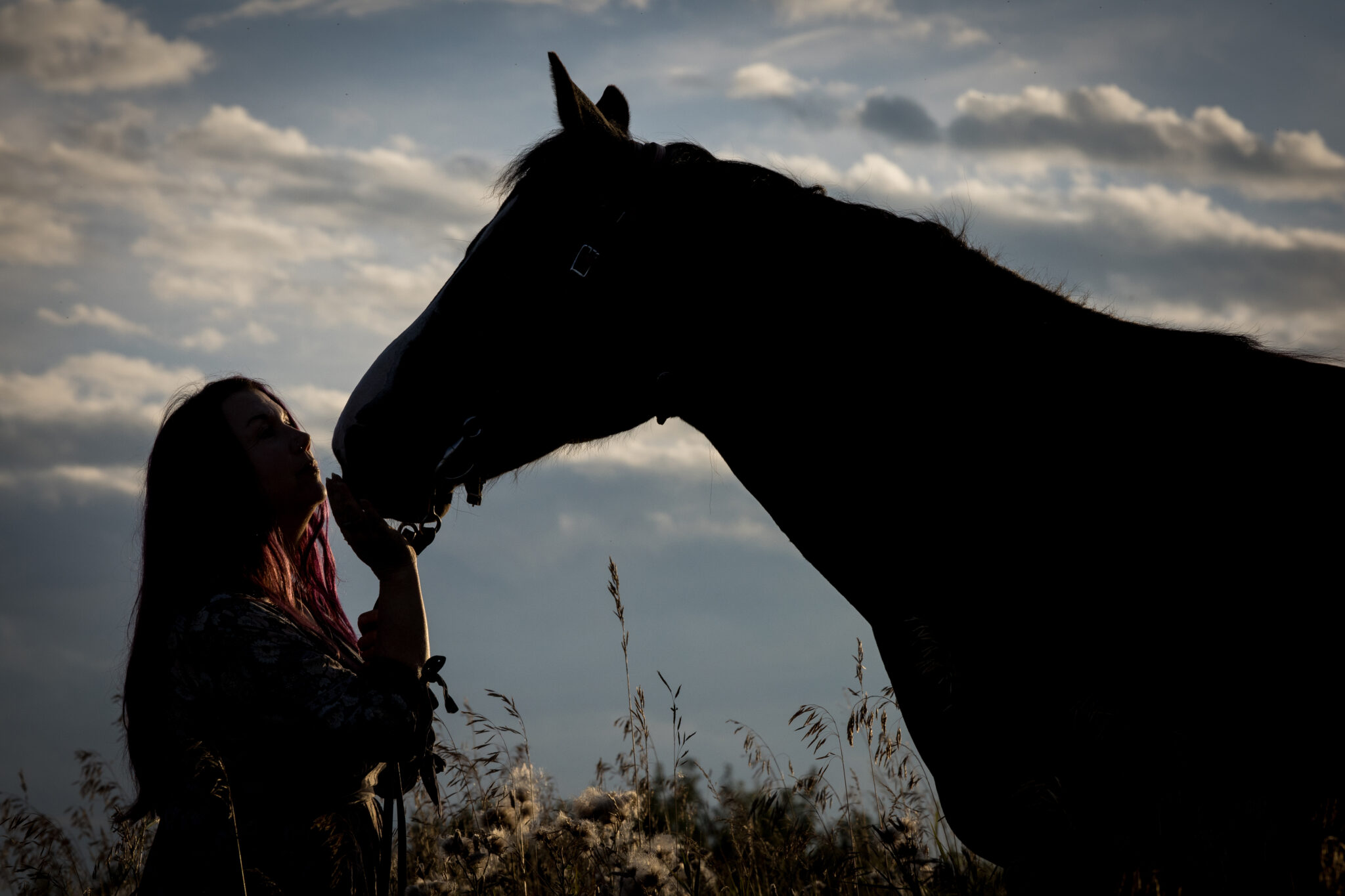 Alberta equine photographer with her heart horse Phoenix at sunset, illustrating the connection between horse and human.