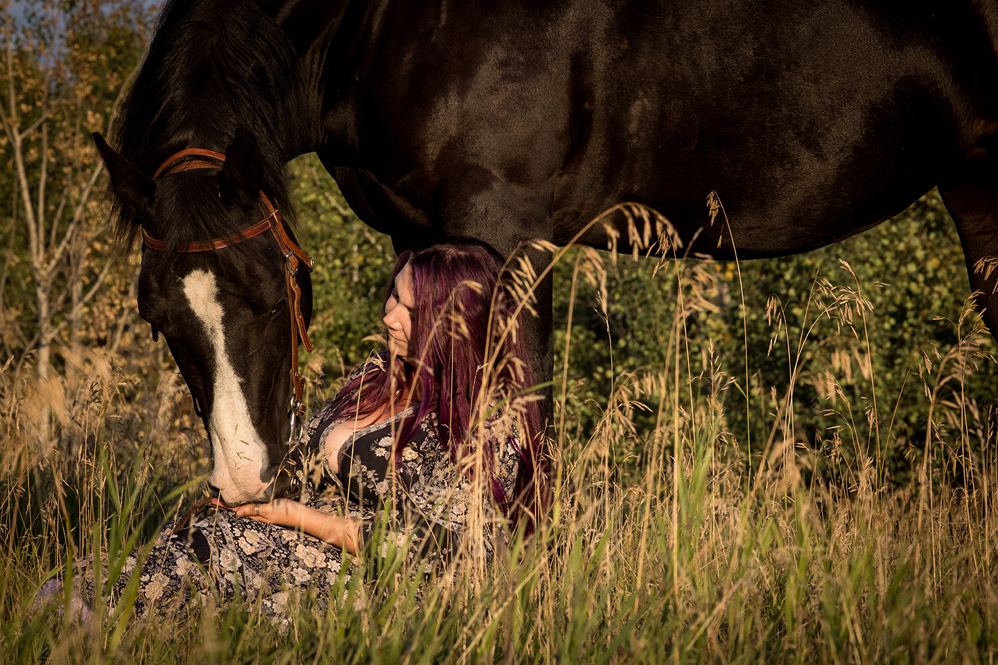 An intimate image of a passionate photographer and author standing in an open Alberta field with her beloved black horse, Phoenix. The golden light of the setting sun casts a warm glow, highlighting the deep bond and trust between them. She gently rests her hand on Phoenix’s neck, exuding love and connection amidst the vast, peaceful landscape.